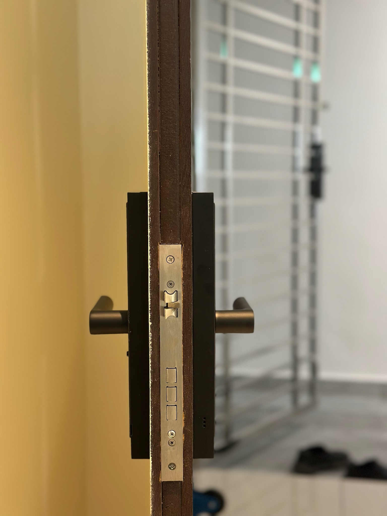 SAM -S50 Smart Grill Lock